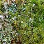 Lake Nottely RV Park Office