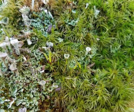 Lake Nottely RV Park Office