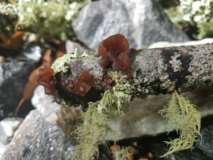 Lake Nottely RV Park Office Picture 8