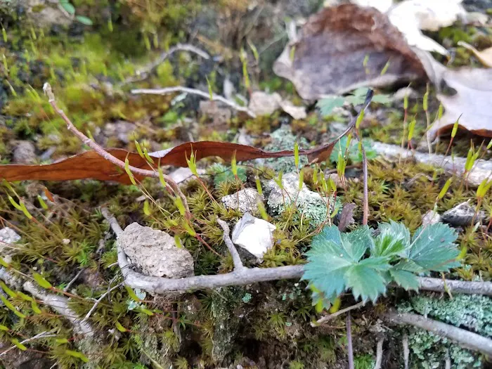 Lake Nottely RV Park Office Picture 10