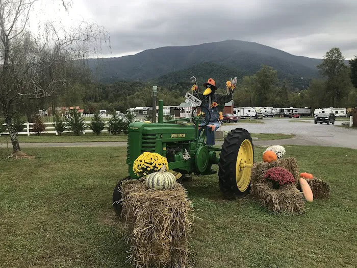 Cove Mountain RV Resort Picture 6