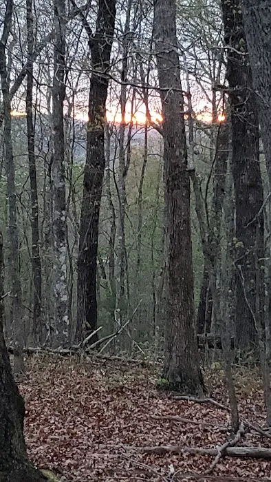 Awakening Adventures llc Picture 6