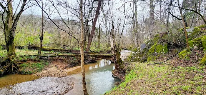 Starr Mountain Camp Picture 1