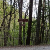 Dispersed riverside camp spot ico