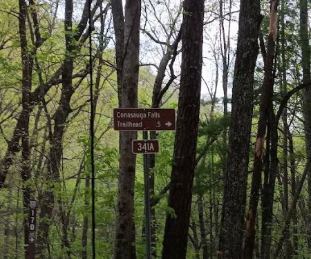 Dispersed riverside camp spot