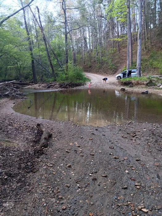 Dispersed riverside camp spot Picture 2
