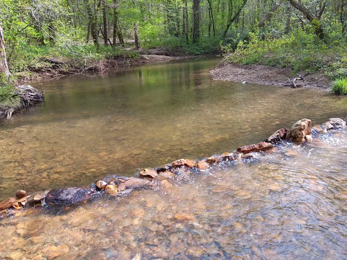 Dispersed riverside camp spot Picture 4