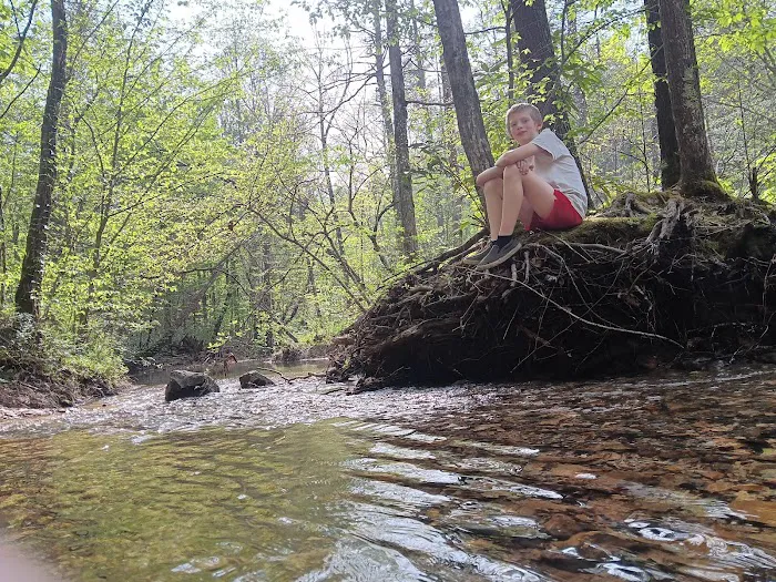Dispersed riverside camp spot Picture 5
