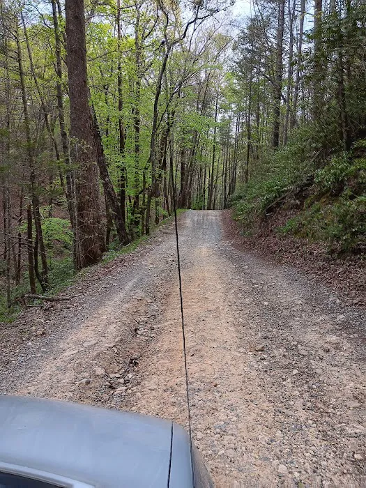 Dispersed riverside camp spot Picture 9