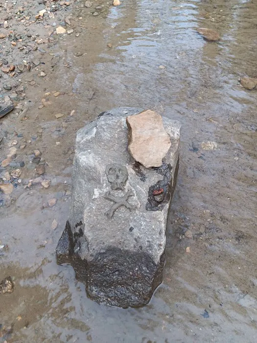 Dispersed riverside camp spot Picture 7