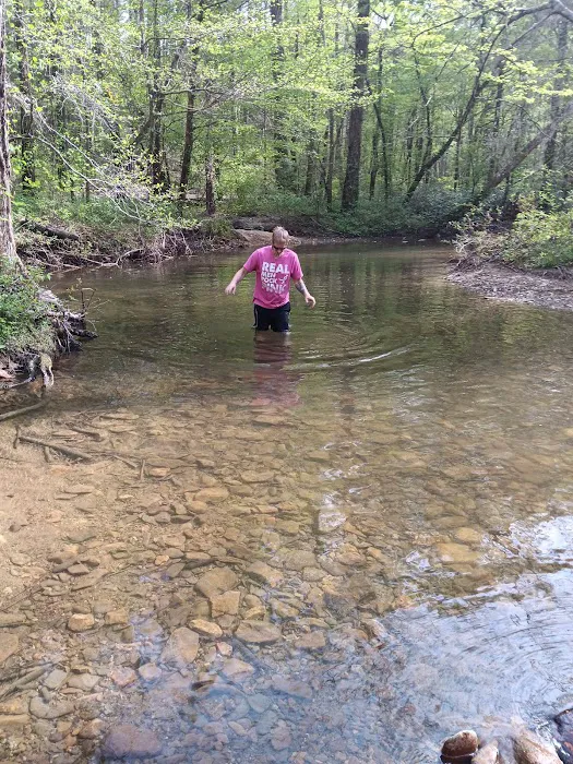 Dispersed riverside camp spot Picture 8