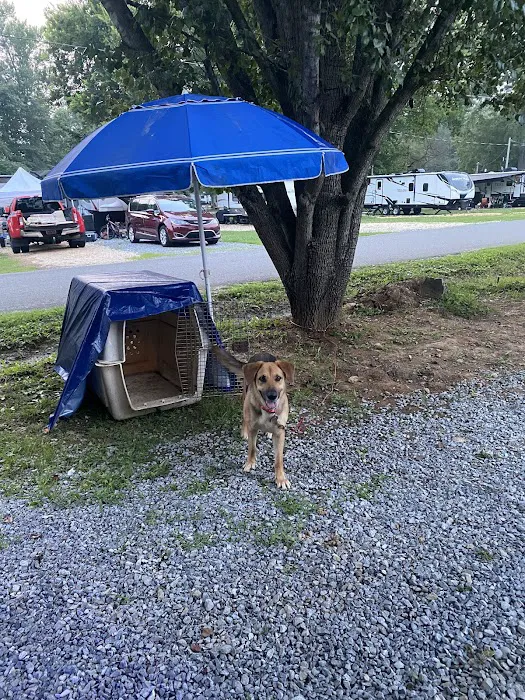 Ten Mile Campground Picture 1