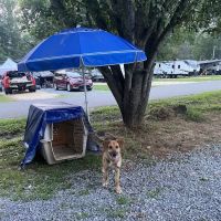 Ten Mile Campground ico