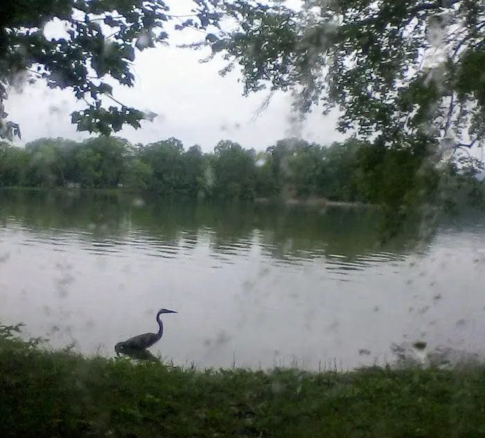 Campground Picture 7