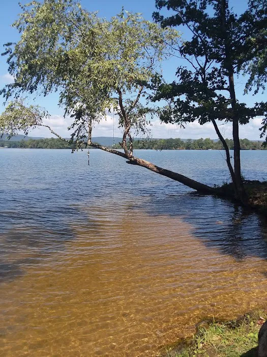 Campground Picture 8