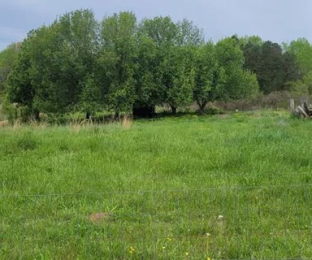 Irie Vibes Campground