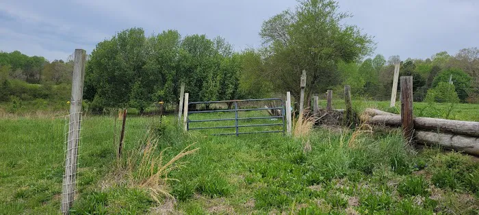 Irie Vibes Campground Picture 3