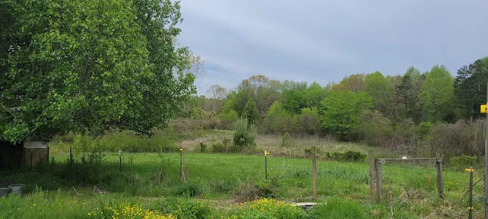 Irie Vibes Campground Picture 4
