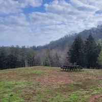 The Meadow @ Burnsy Acres ico