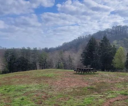 The Meadow @ Burnsy Acres