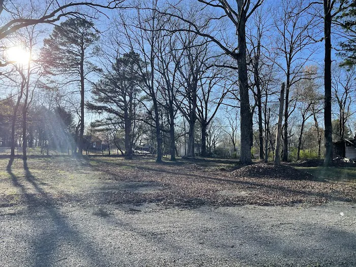 The Road Less Traveled Picture 1