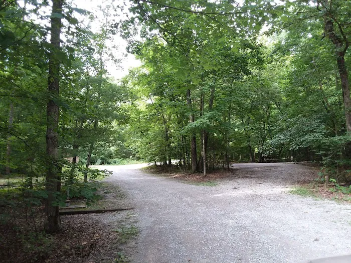 Lost Corral Horse Camp Picture 3