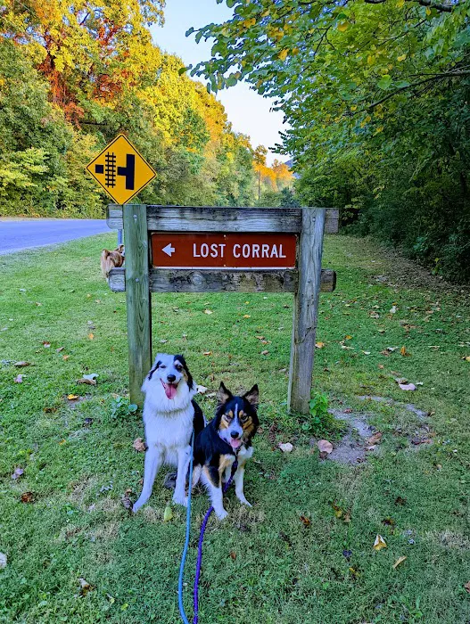 Lost Corral Horse Camp Picture 5
