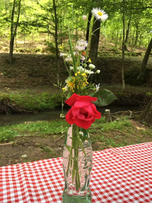 Rogers Creek RV Park Picture 10