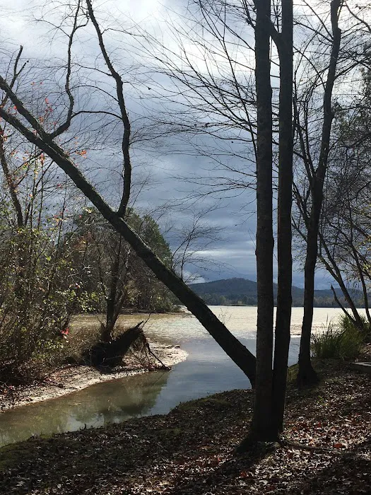 Rogers Creek RV Park Picture 8