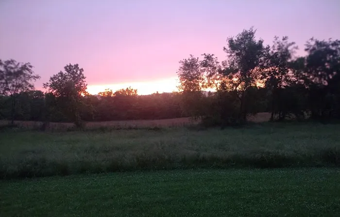 Cottonport Landing Picture 5