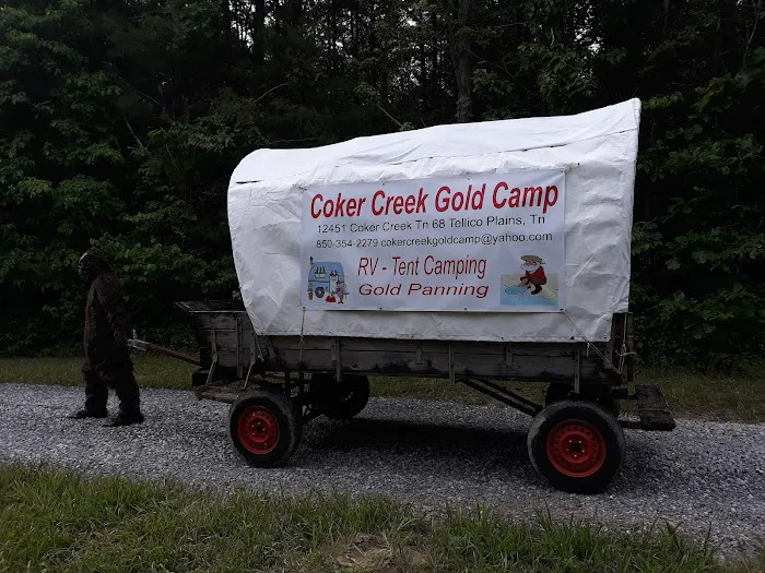 Coker Creek Gold Camp (Site of Diggers Expedition) Picture 3