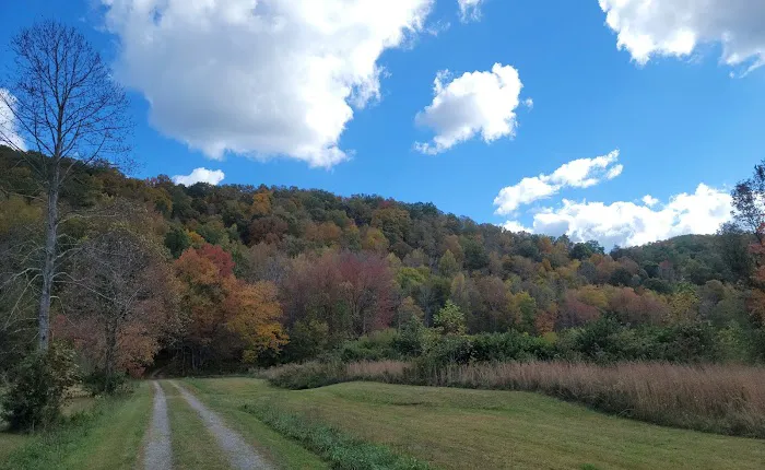 Hammer's Hideaway Campground Picture 6