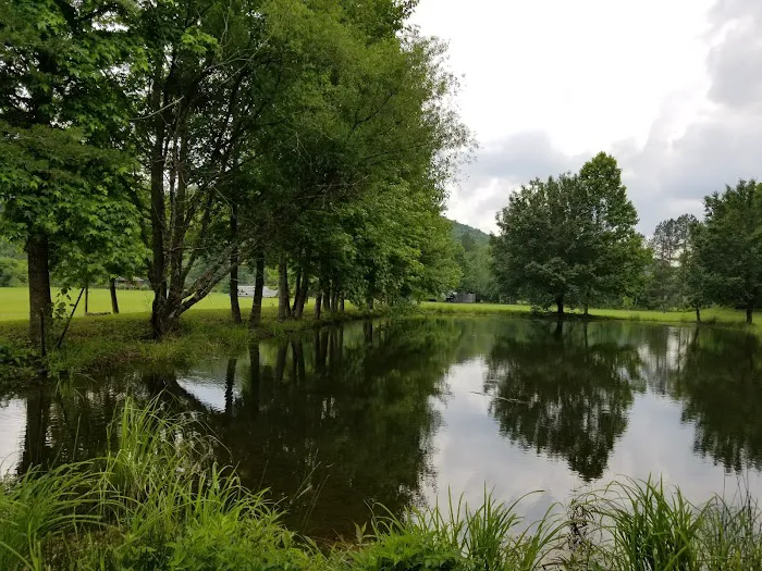 Hammer's Hideaway Campground Picture 10