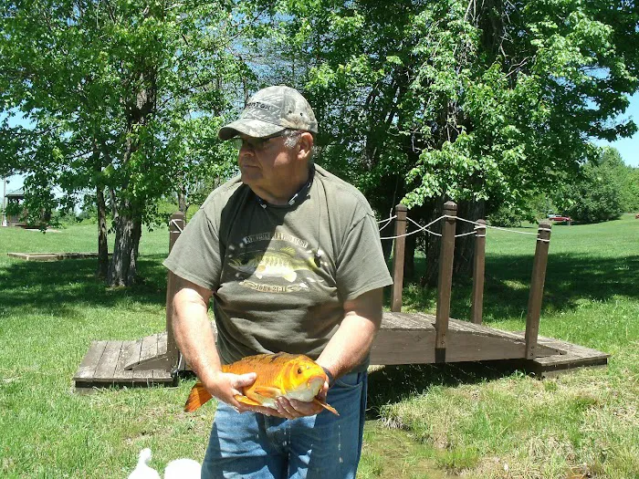 Ballyhoo Family Campground Picture 10