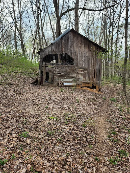 Nettlecarrier Creek Camp Picture 2