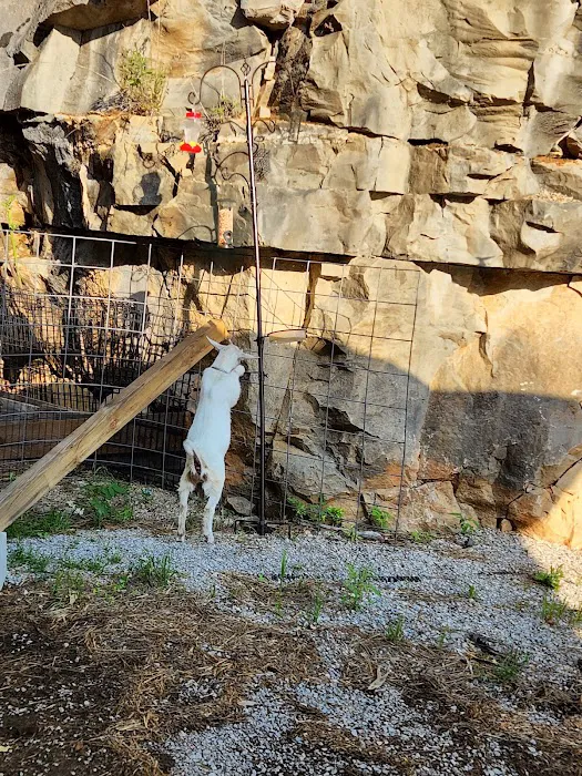 Nettlecarrier Creek Camp Picture 1