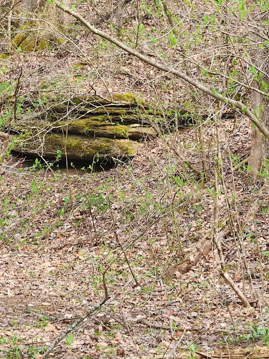 Nettlecarrier Creek Camp Picture 10