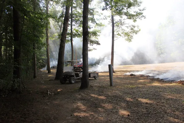 Davy Crockett Campground Picture 8