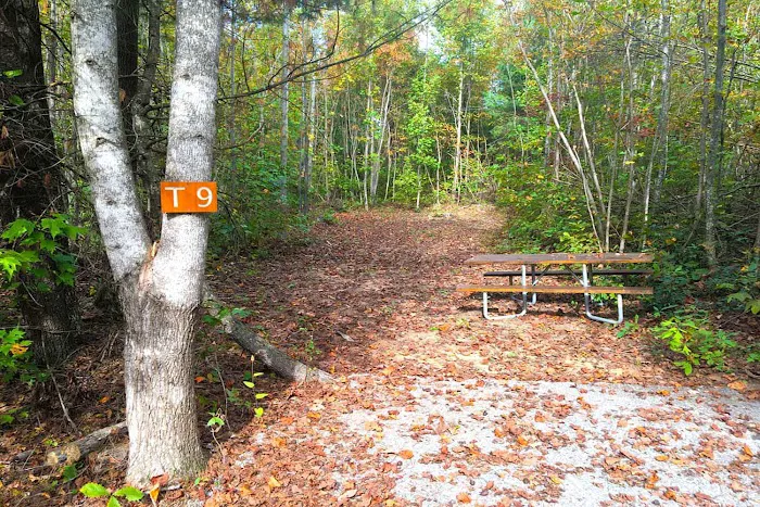 Spacious Skies Campgrounds - Belle Ridge Picture 4