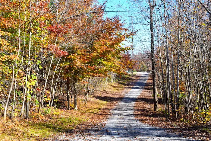 Spacious Skies Campgrounds - Belle Ridge Picture 7