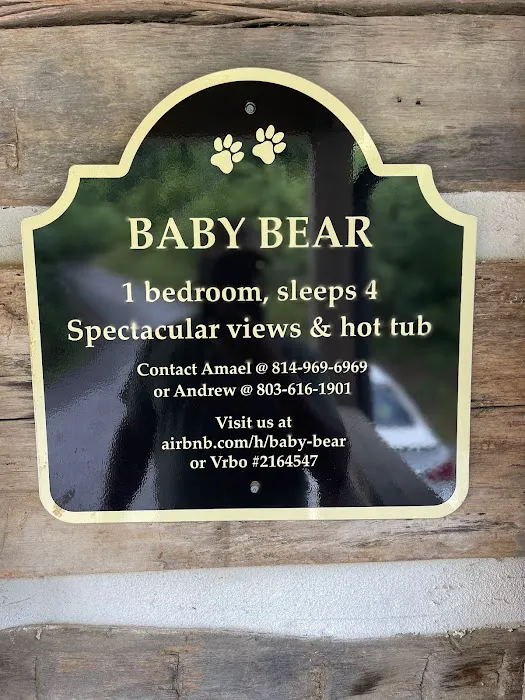 Baby Bear Picture 4