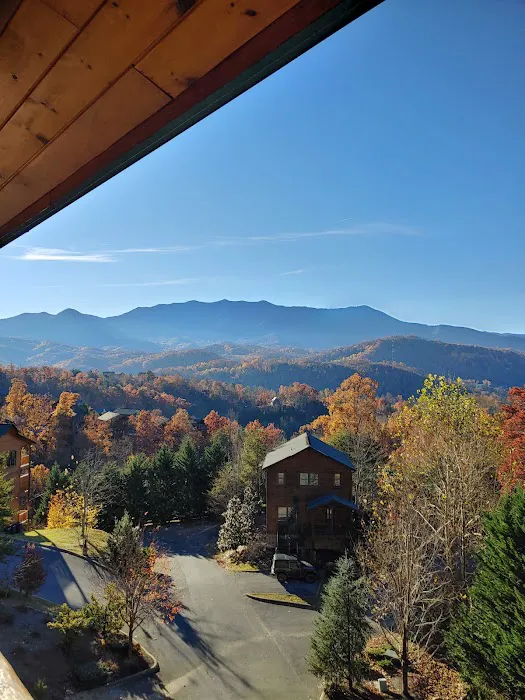 Views Above The Rest Picture 3