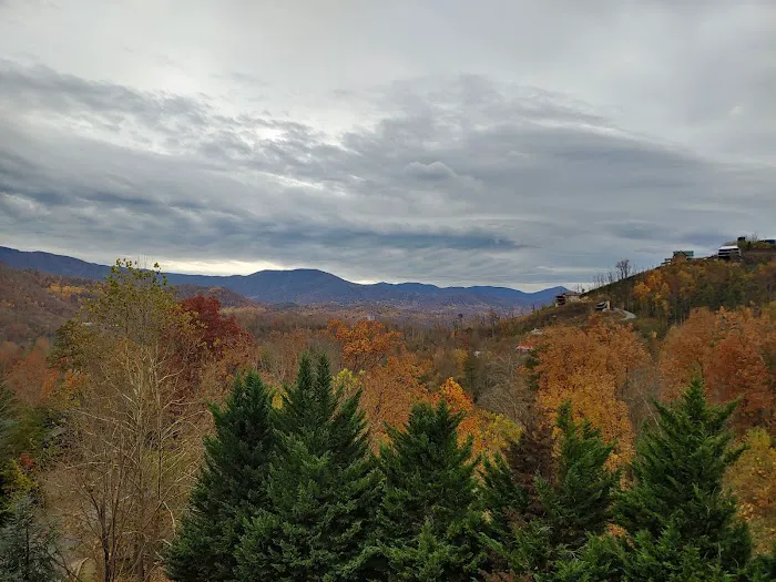 Views Above The Rest Picture 8