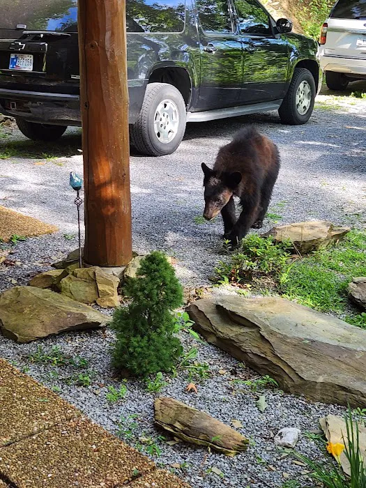 Smokey Mountain Dreamers Picture 1