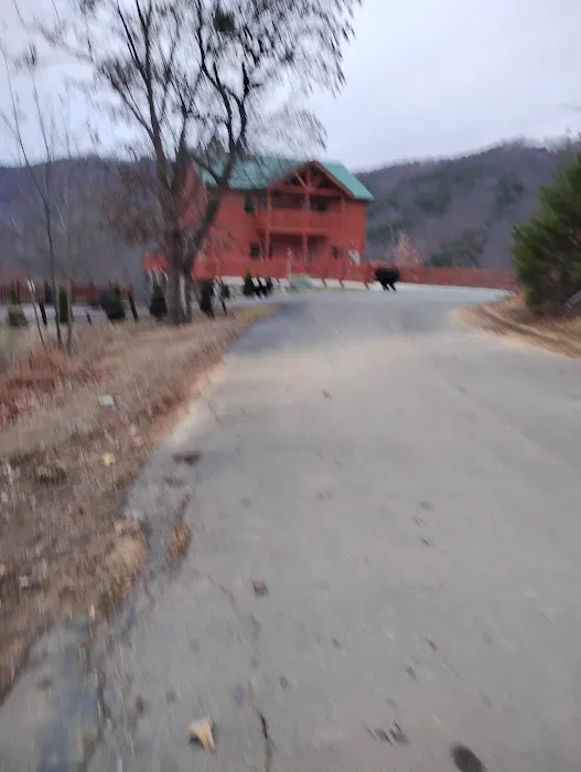 Cabins Picture 1
