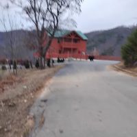 Cabins ico