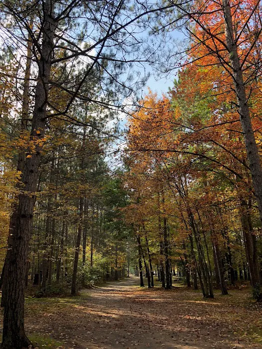 Twin Oaks Campground & Cabins Picture 7