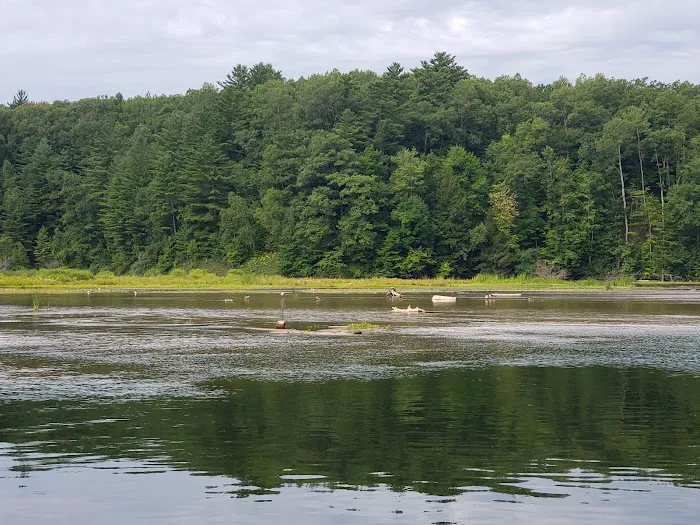 Loomis Landing Campground and Marina Picture 1
