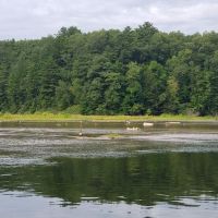 Loomis Landing Campground and Marina ico