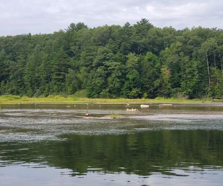 Loomis Landing Campground and Marina
